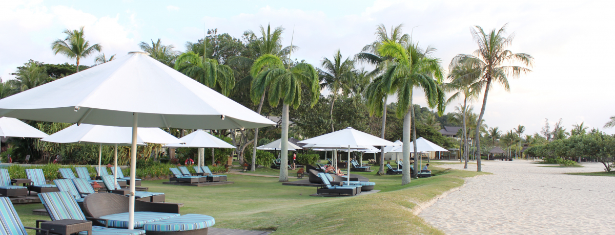 �R�^�L�i�o���u�V�����O���E�� ���T���A���]�[�g���X�p�v�厩�R�̌��ɕ�܂�闷