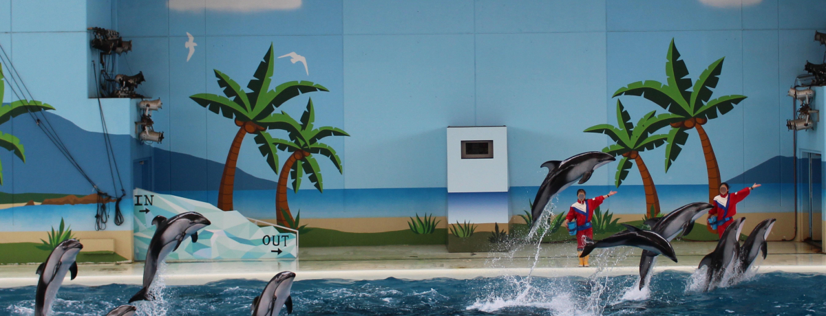 C̐̂ƒǂȂ낤IulEiV[p_CXv