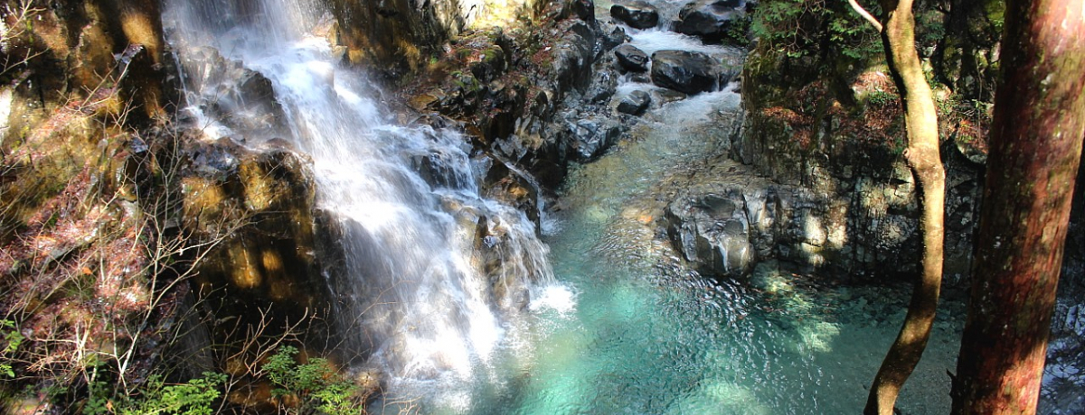 򕌁Etmusv̐iցIlC㏸̖X|bg