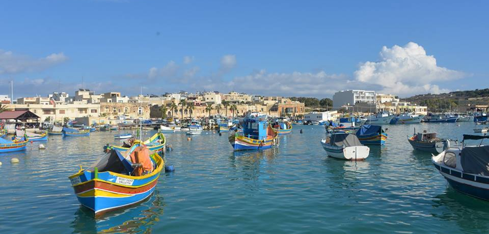 �n���C�ɕ����Ԗ��f�̍��}���^���a���E�ő�̋����}���T�V�����b�N�I