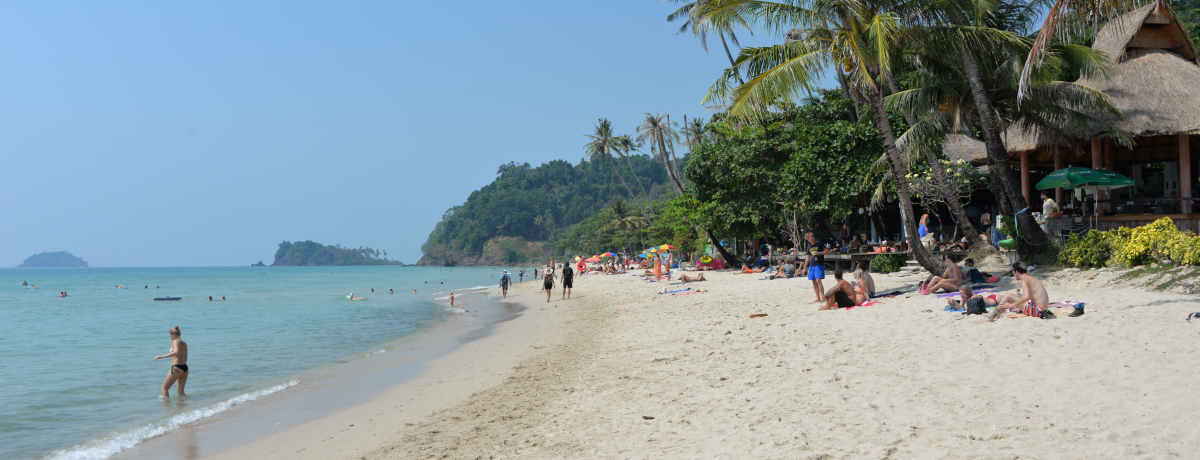 �L���Ȏ��R�Ƒf�p�����c��^�C�u�`���[�����v�Ŕ鋫�������\�I