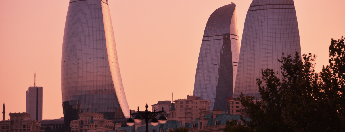 �΂̍��A�[���o�C�W�����I�J�X�s�C�ɖʂ�����s�o�N�[�������ߖ���