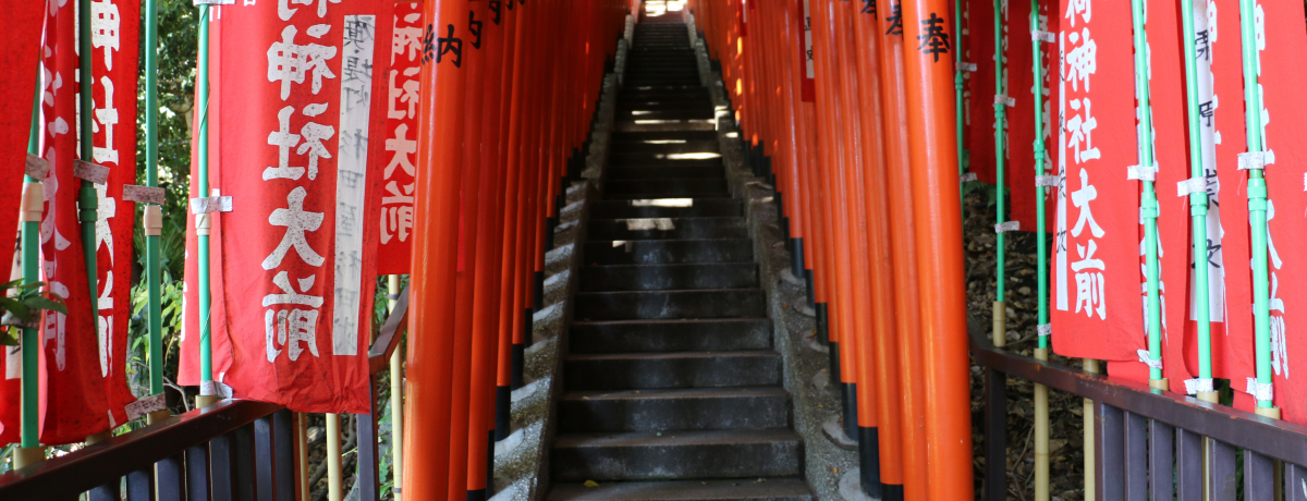 VÔ͂܂ɘȂލ]ˎR匠u}_ЁvŃp[ႨI