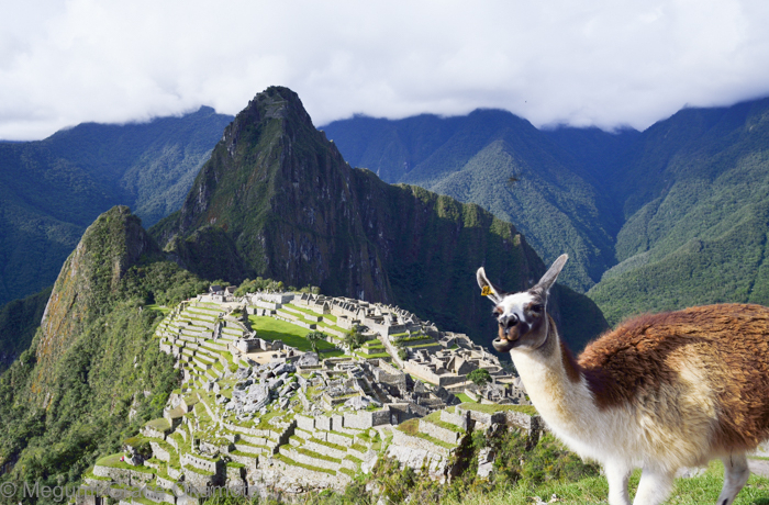 �}�`���s�`���ւ̃g���C���I��i�u�T���J���^�C�v�������