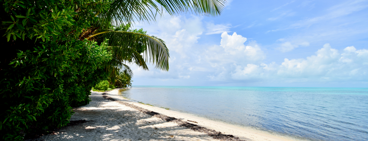 �Ō�̊y���x���[�Y�I�Ԃ������������a�A�L�[�J�[�J�[