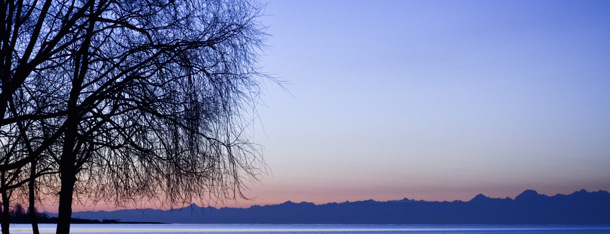 O@t!?LMX́ǔ΁vCVNEN̐i