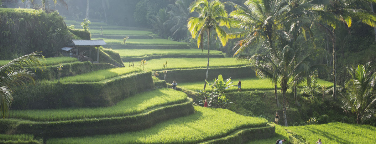 �܊����Ђ炭�_��̓��o���I�C���X�^�f�����q���ό����f���R�[�X