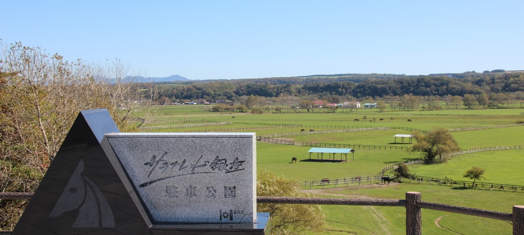 R[hƔnDȂTubhkCV֍sI