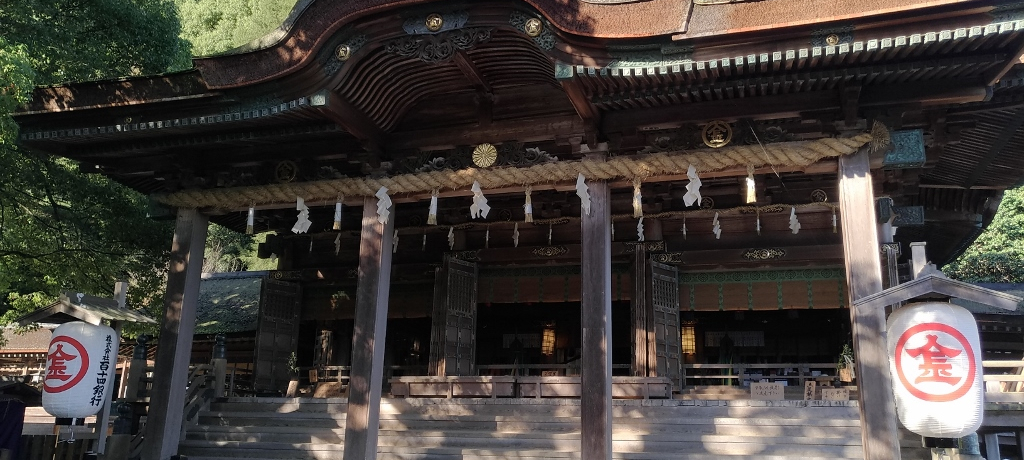 785�i����肫������̖������ ����u�����䗅�{(����҂炳��)�v
