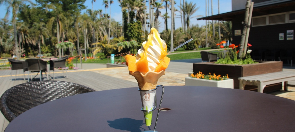 gsJC𖞋iI{suMѐAv