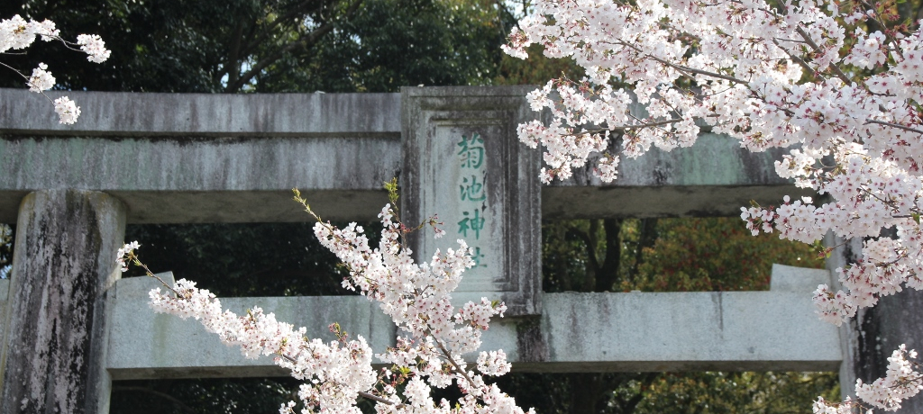 200[g̍glQɊIF{uer_Ёv