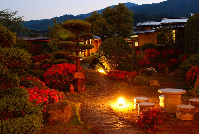 RE쉷uFRv͕ZȒ뉀ɉtꂪ_݁AlłI