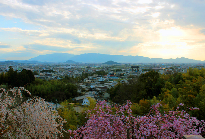 �N���Ɍ����������t�̎R�ƍ��̐�i�I�ޗǁu����a�̓m�W�]��v