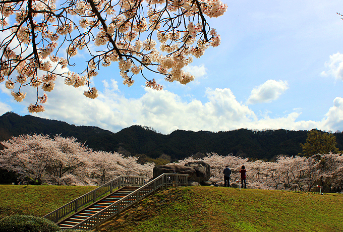 ��ɕ�܂ꂽ���΁E�ޗǖ��������́u�Ε���Õ��v�͍��̋G�߂��I�X�X���I