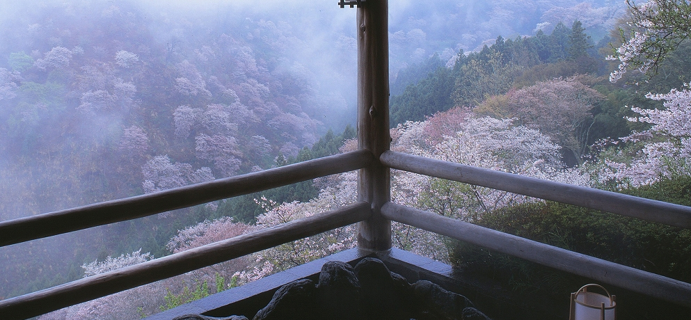 �u���� ��̉Ɓv�͘I�V���C����ޗǁE�g��̐�{������]