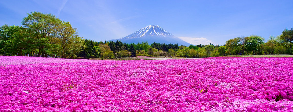 GW�������u�x�m�ō��܂�2019�v�͕x�m�R�Ƃ��Ԕ�����i�R���{�I