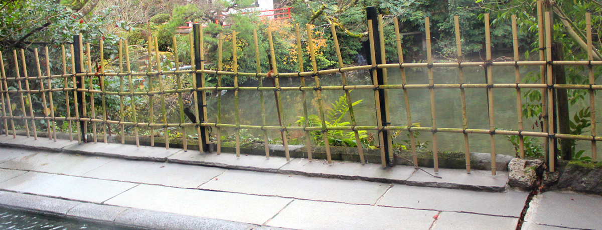 �ΔȂ̗���ɔ��肽���I�m��l���m�鎭�����u���㉷��݂ǂ葑�v