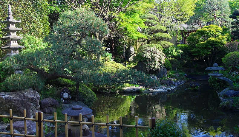 �u�����V�R���� ���t���a�v(���)�ŋɏ㐶����Ɗ�՗���̌��I