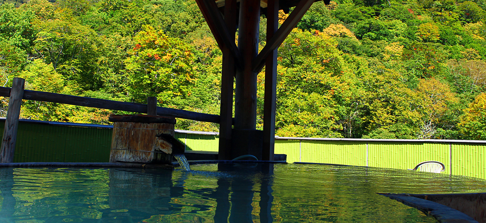 u쉷 ˉفv͕̔铒IiIVC