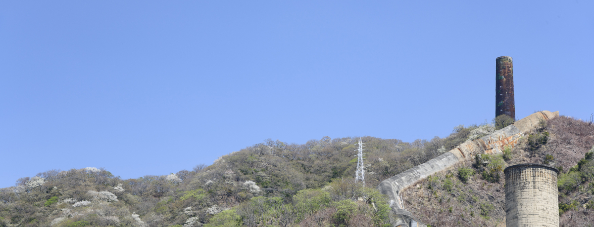 Ƃ܂ẴV{Iɉh̑bƂȂ剌