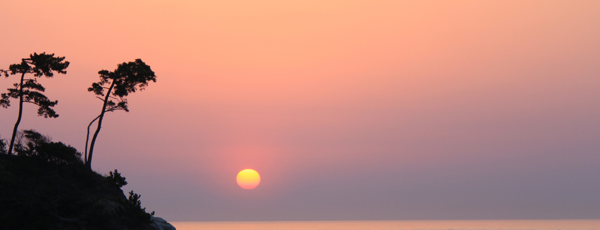 I[Vr[̏ȏhEû܃BvfGI