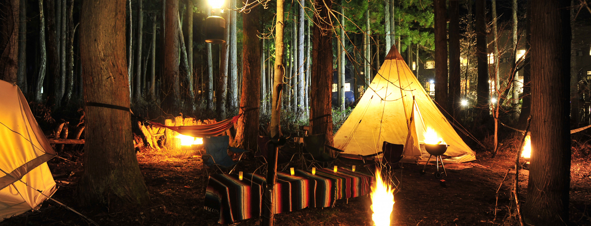 �ΐ�u�ꗢ�썂���z�e���날��v������͘F�����O�����s���O���I