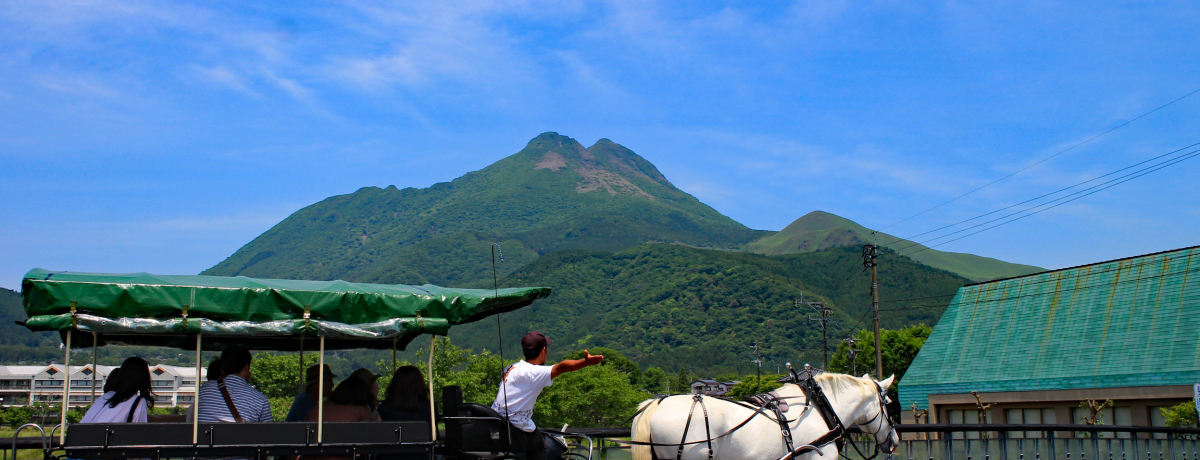 ���z�@�ό����f���R�[�X�\�ԂȂ���OK�A���߂Ă���̎U��K�C�h