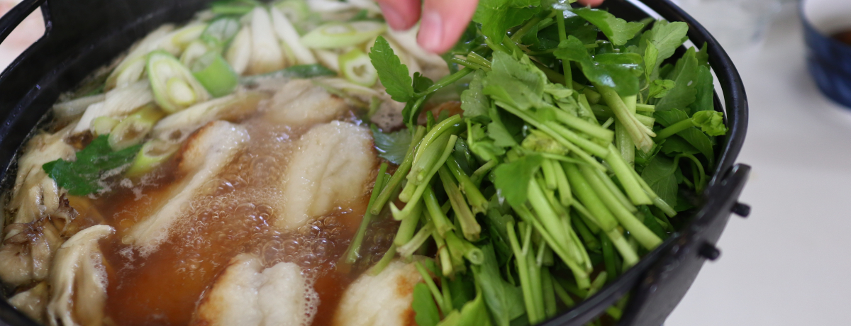 肽ۍ̌IyHćuzCȕꂳ̓Xv