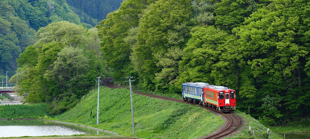 �K�^���S�g���u�H�c�������v�̗��͏H�c���Ɨ��R�m�X�^���W�[