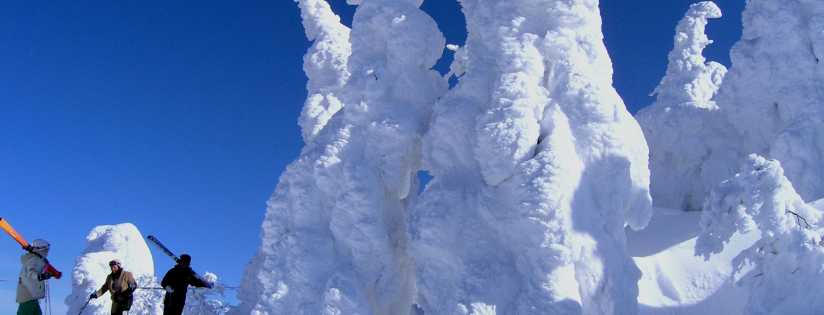 �~�̑�ٔ\���`����s���I�X�g�R�̎��X�ƃI�X�X������K�C�h