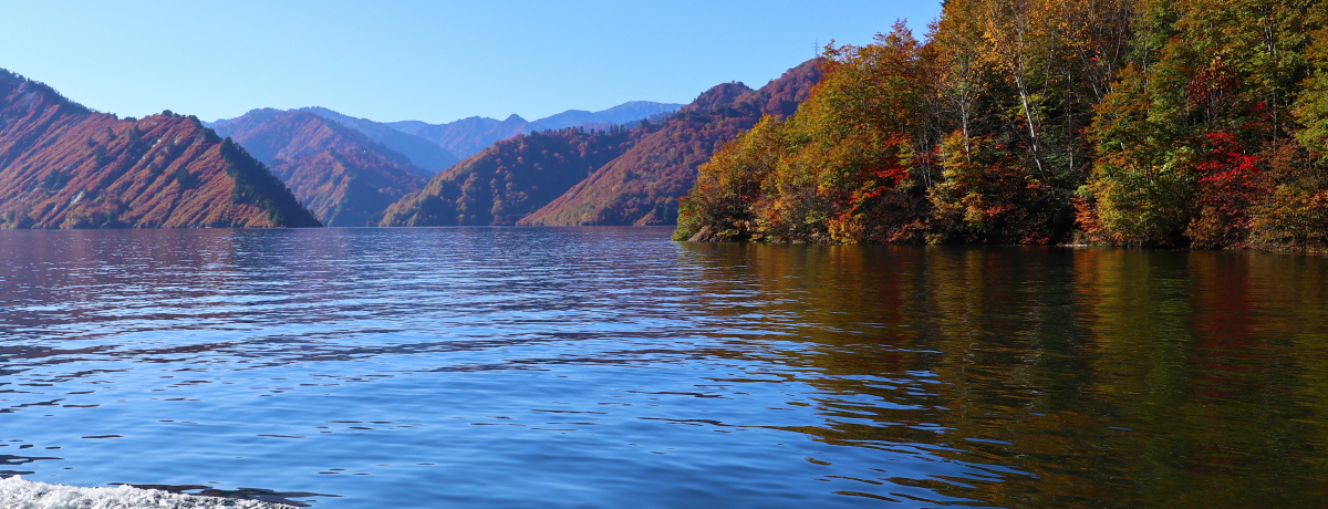 鋫IVEΔȂɂꌬ̏huZv