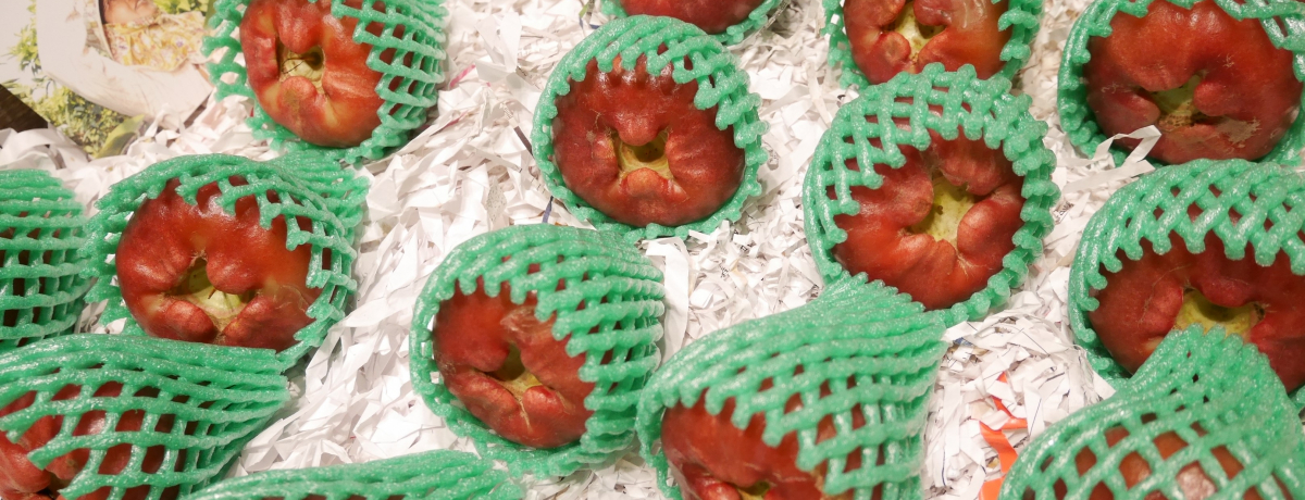 �t���[�c�V����p�I��k�E猉��X�u�L���ʕi�v�Ŗ��키���R�̌b��