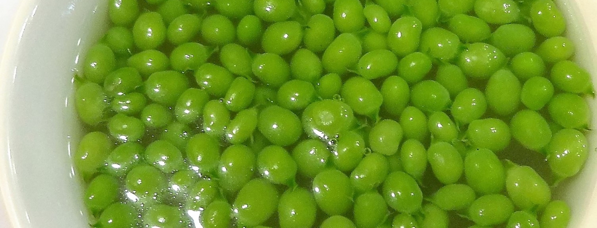 kŐHׂ_엿ula_؁vN₩΂̖X[vI