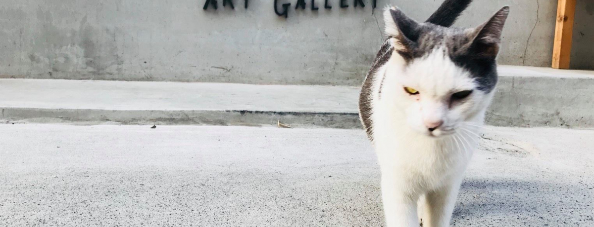 ی쓮̂M[JtFɎG݁ApY