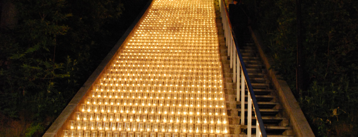 ÉE1200̃Lhh߂̓裌