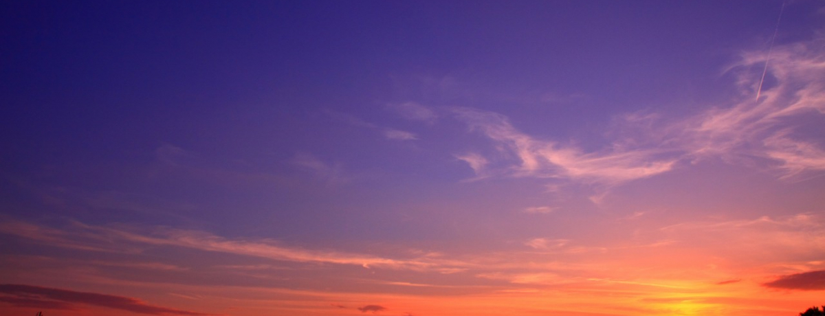 Ei΂ŗ[z҂ȂRRIuΖk݂ǂXe[Vv