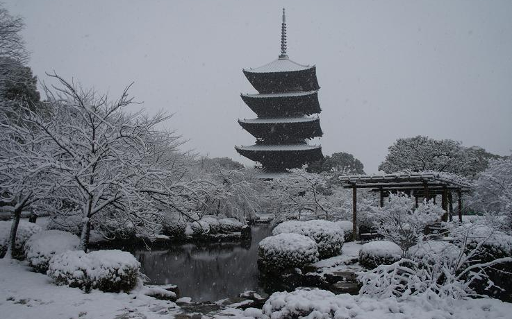 swkIiFf炵~̓Ƃ̎ӂ̊yݕ