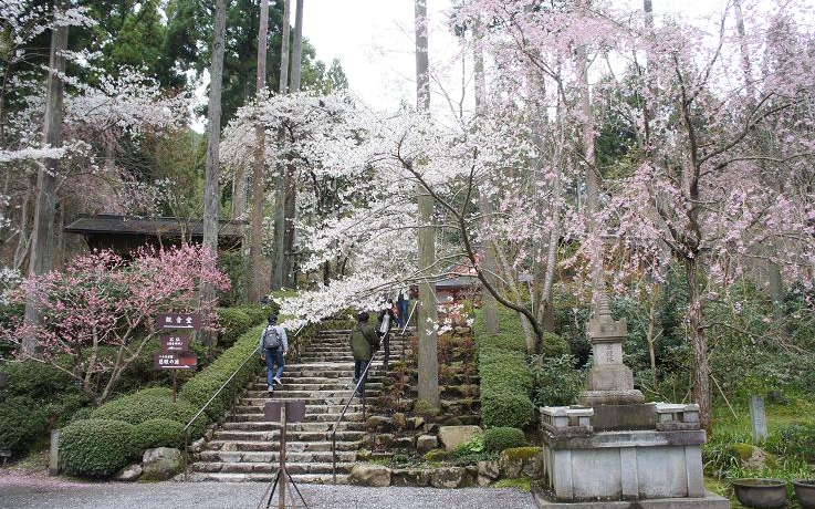 tKꂽIsE匴͍Ԍ̃JtF܂Ŗ͖