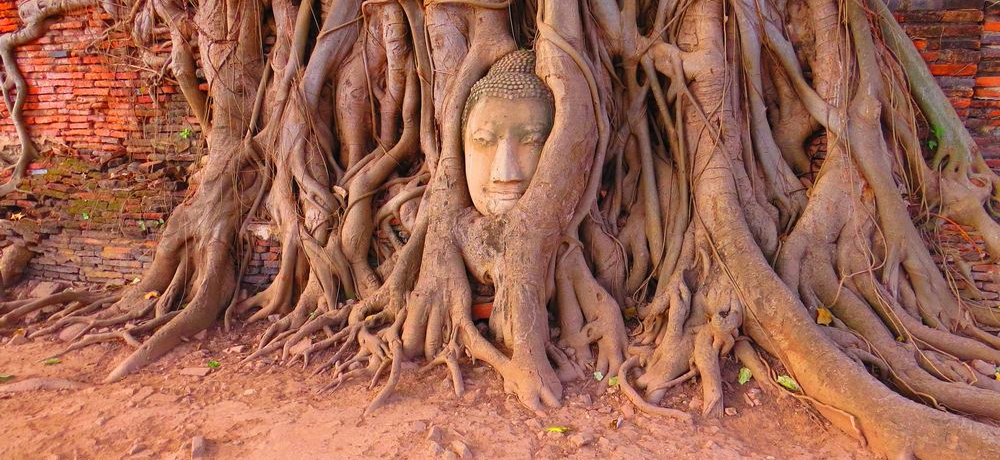 タイのアユタヤ王朝 座って祈る仏像彫像: ラージ彫刻 庭園 タイのアユタヤ王朝 座って祈る仏像彫像: ラージ彫刻 庭園