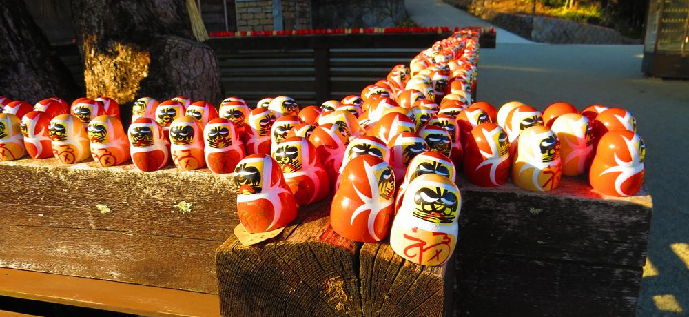 �_���}�ŕK���F��I���ʎs�u�������v�͏��^�Ɩ���̎�