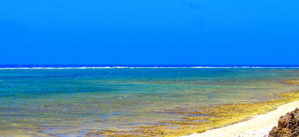 ꗣŕKI_~肽vό̌ǂTI