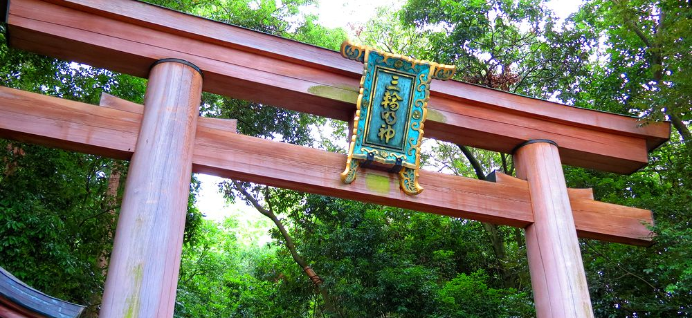 �ޗǍ���̖{�a��������_�_�Ђ͓��{�ŌÁI�����̂����v���L��