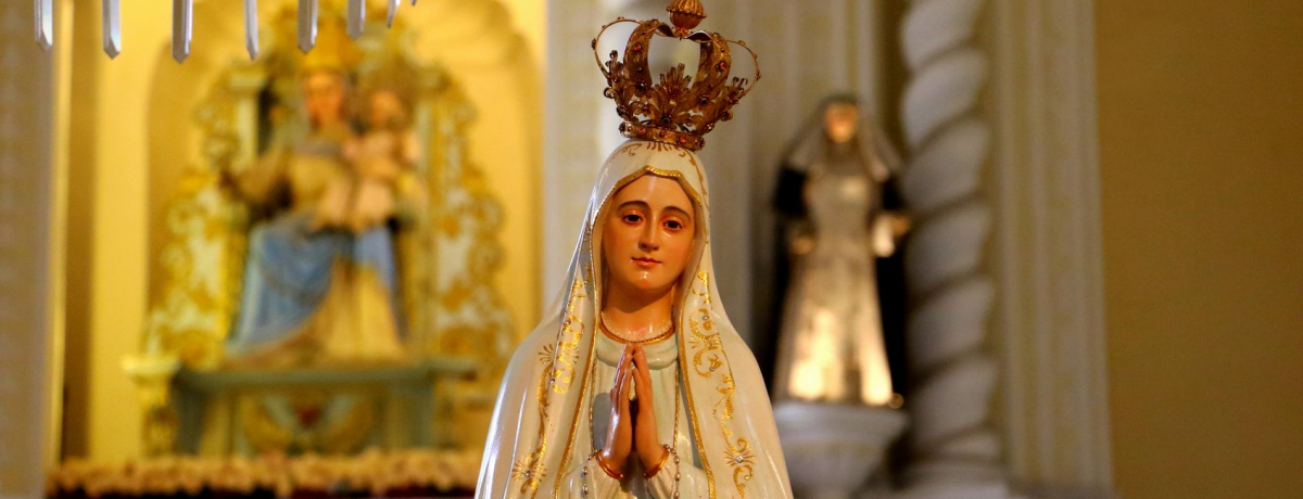 }JI̐EYEh~jR̓JgbŇI