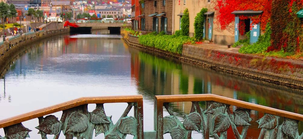 �H�̏��M�͓쏬�M�w�ŉ��ԁI���M�^�͂܂ŎU�􂵂悤