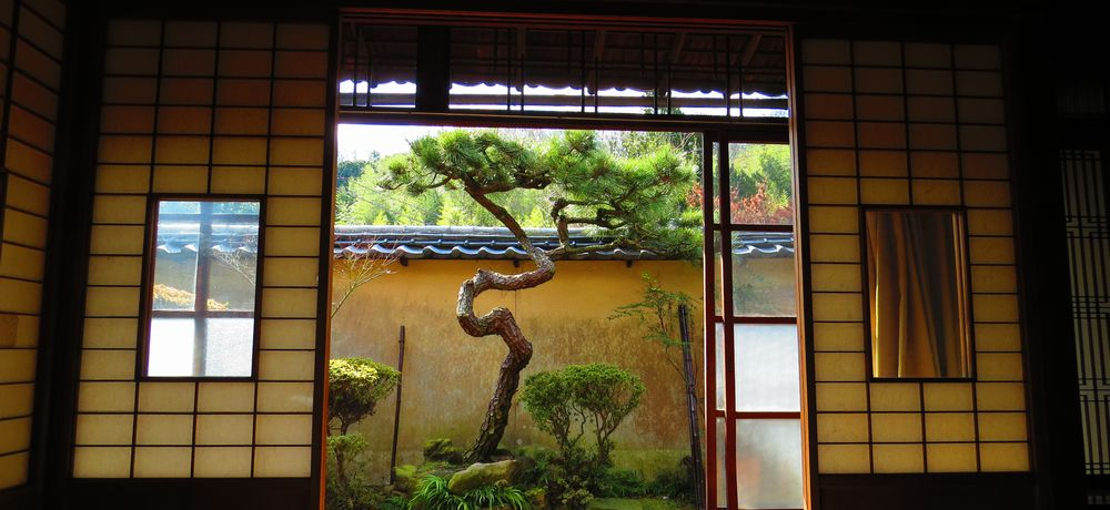 ۋTu{vɎczSN̋gc@IxȌzƗlXȔ