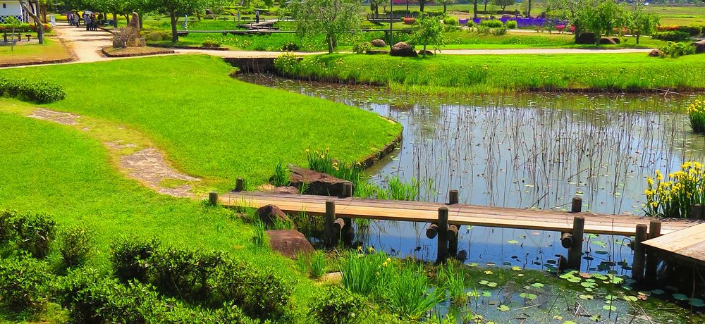 隬ɌGgƊq̉RE鐅U߂̍