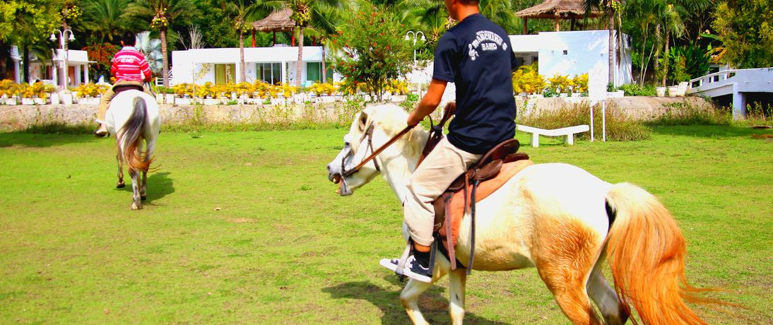 ^C̔o[ I[ Rbh N JIŃOƏňI