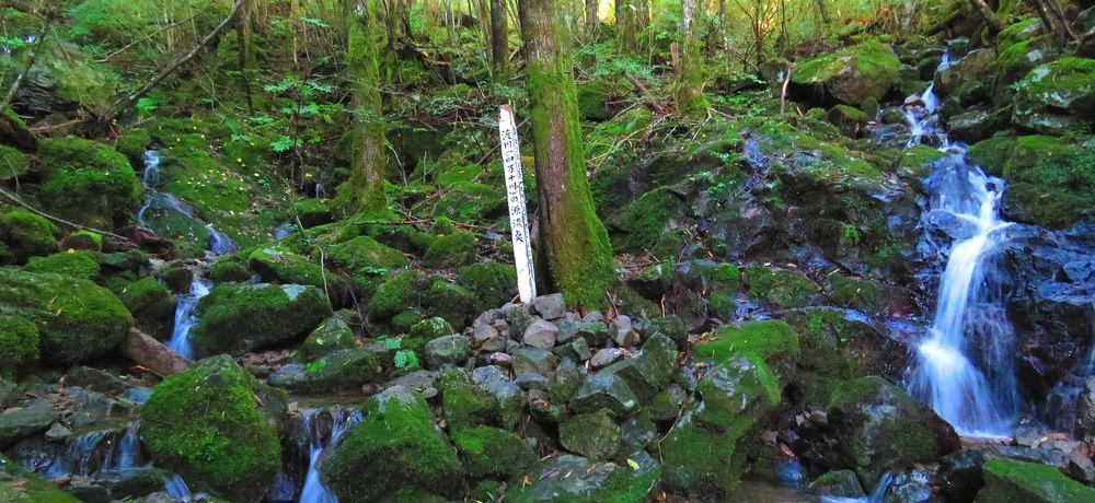 S196km鍂muŌ̐l\v̌_I