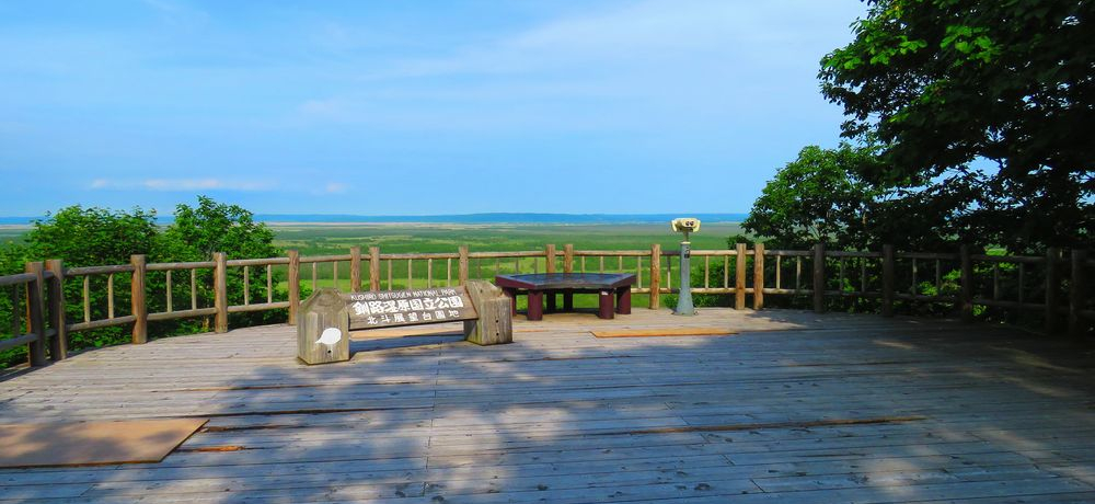 ���{�ő�̋��H�����I���H�s�����W�]�䂩��o���A�t���[�ؓ��U��