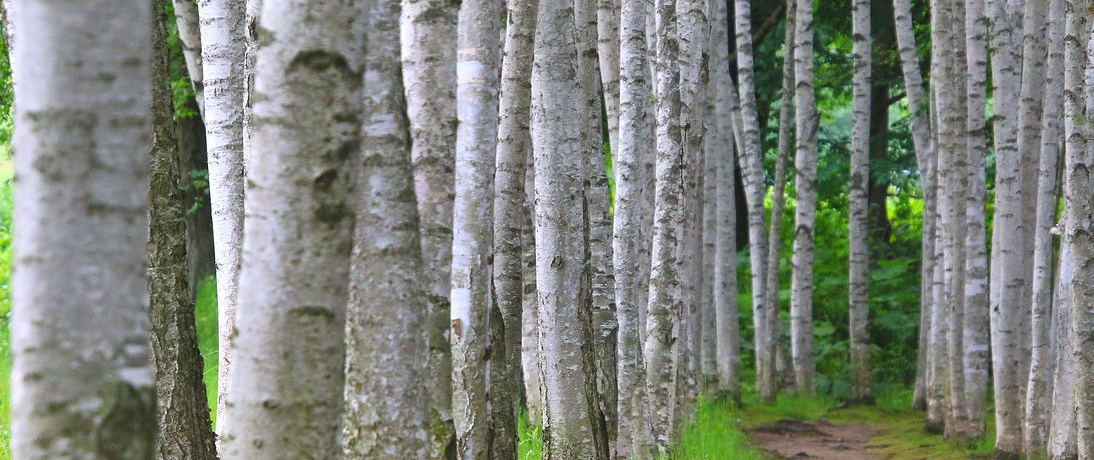 lhCu͑^قrցIόrɔgł